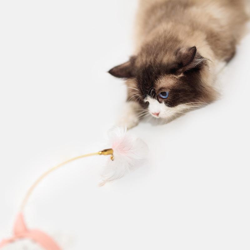 CAT COLLAR TOY