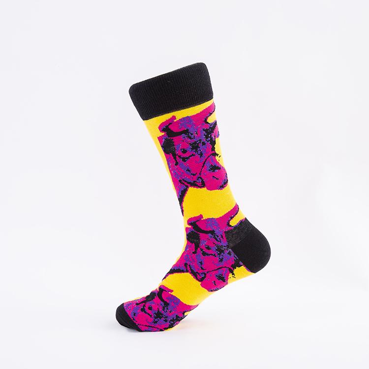 Color Pattern Unisex Socks