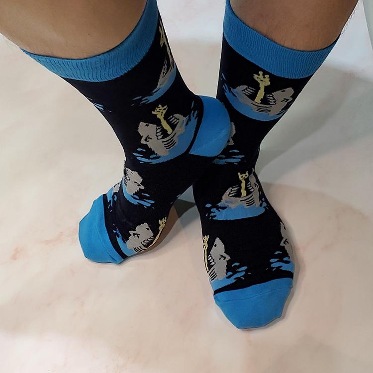 Wandering Shark Socks