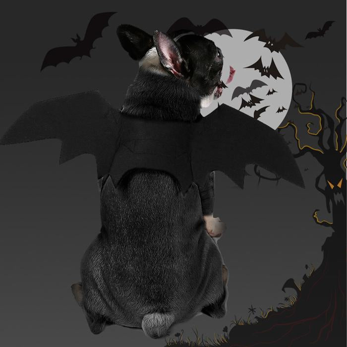 Halloween Pet Costumes Bat Wings