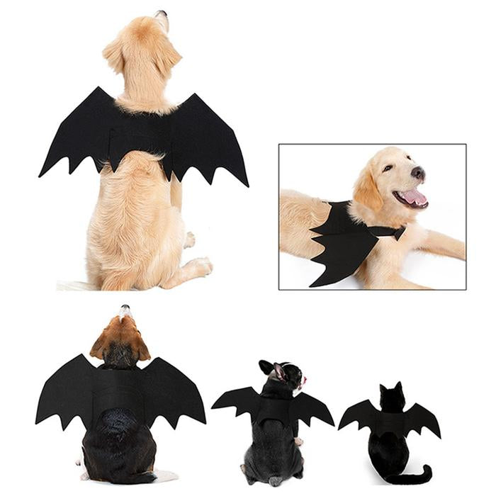 Halloween Pet Costumes Bat Wings