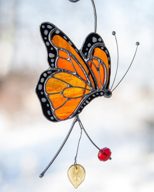 Monarch Butterfly Side View