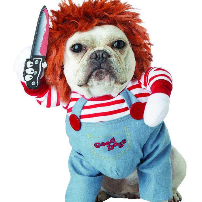 Pet Holding a Knife Halloween Costume