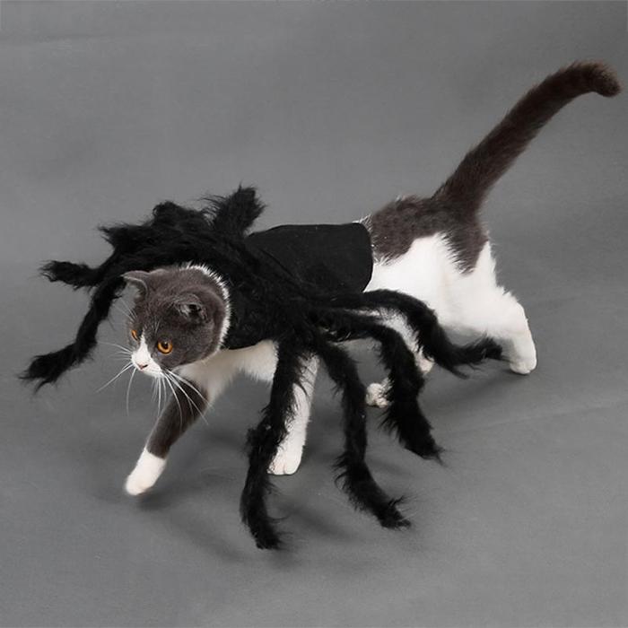 Pet Spider Halloween Cosplay Costume