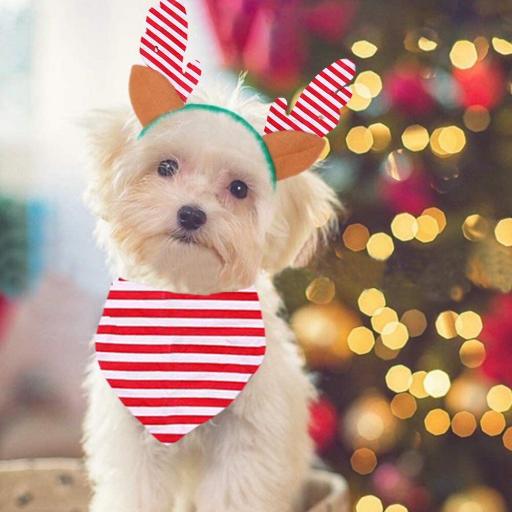 Christmas striped round collar baby pajamas set (with Pet Dog Clothes)