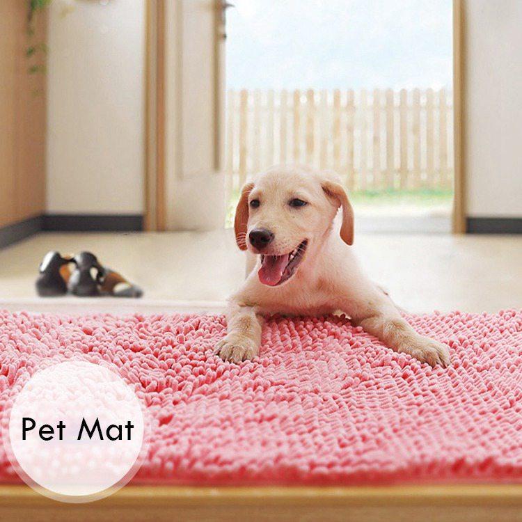 Water Absorbent Washable Bathroom Mat