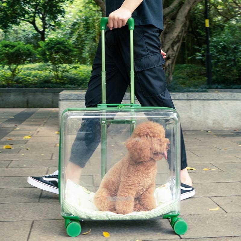 50%OFF ROUND TRANSPARENT PET TROLLEY CASE