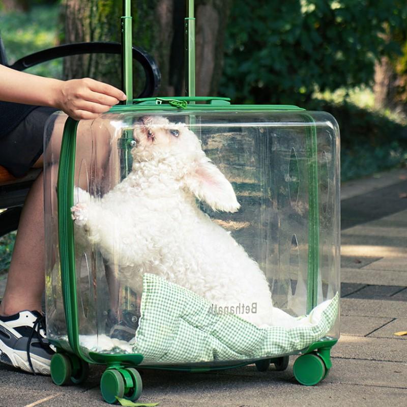 50%OFF ROUND TRANSPARENT PET TROLLEY CASE