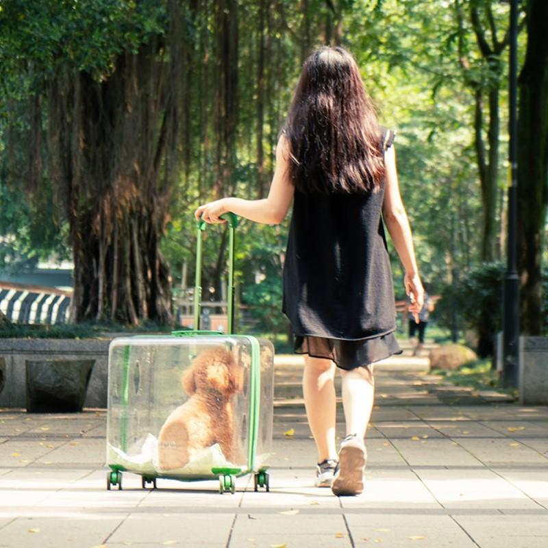 50%OFF ROUND TRANSPARENT PET TROLLEY CASE