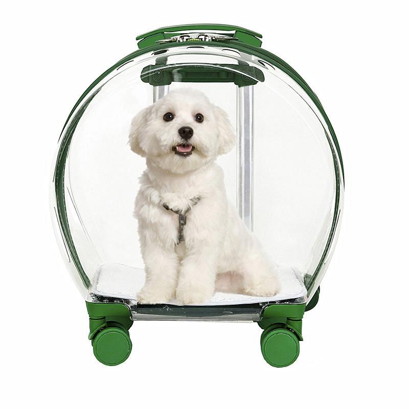 50%OFF ROUND TRANSPARENT PET TROLLEY CASE