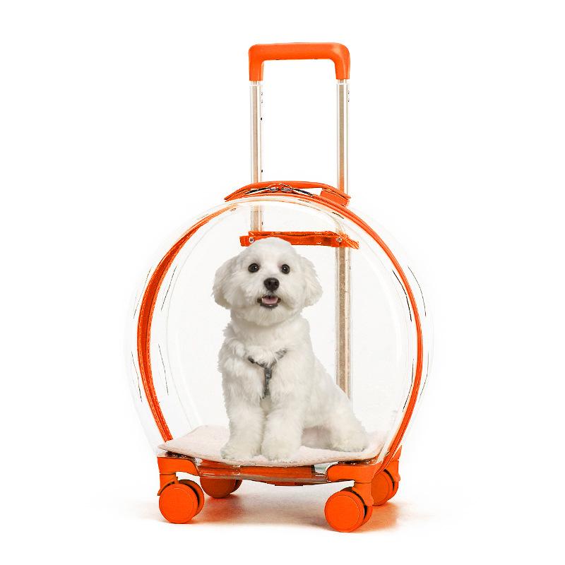 50%OFF ROUND TRANSPARENT PET TROLLEY CASE