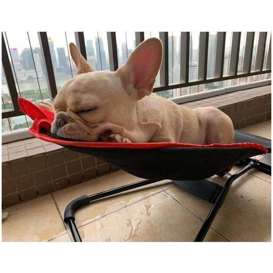 PET ROCKING CHAIR