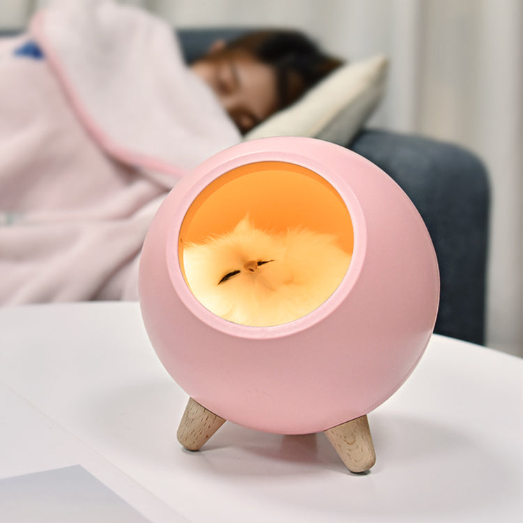 Cute Cat House Night Light