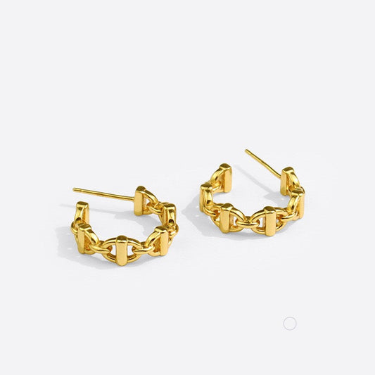 Buckle-connecting Earrings